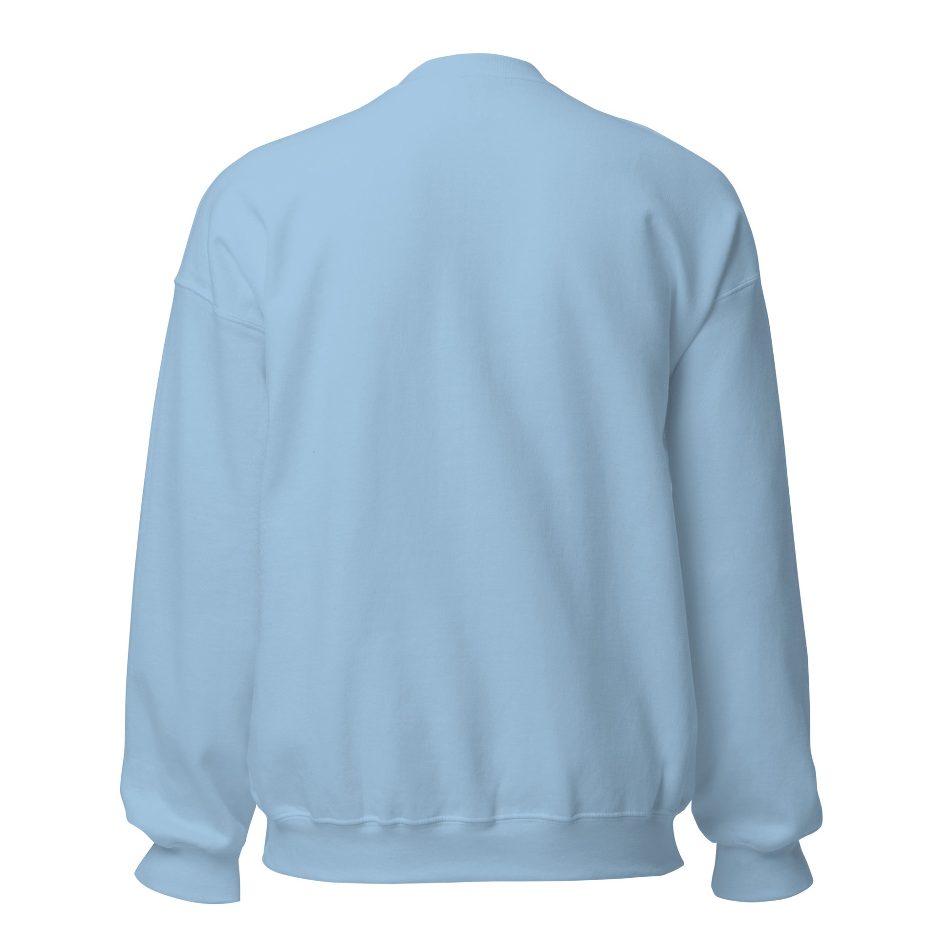 Back view of plain light blue unisex sweatshirt showing relaxed fit and soft texture

