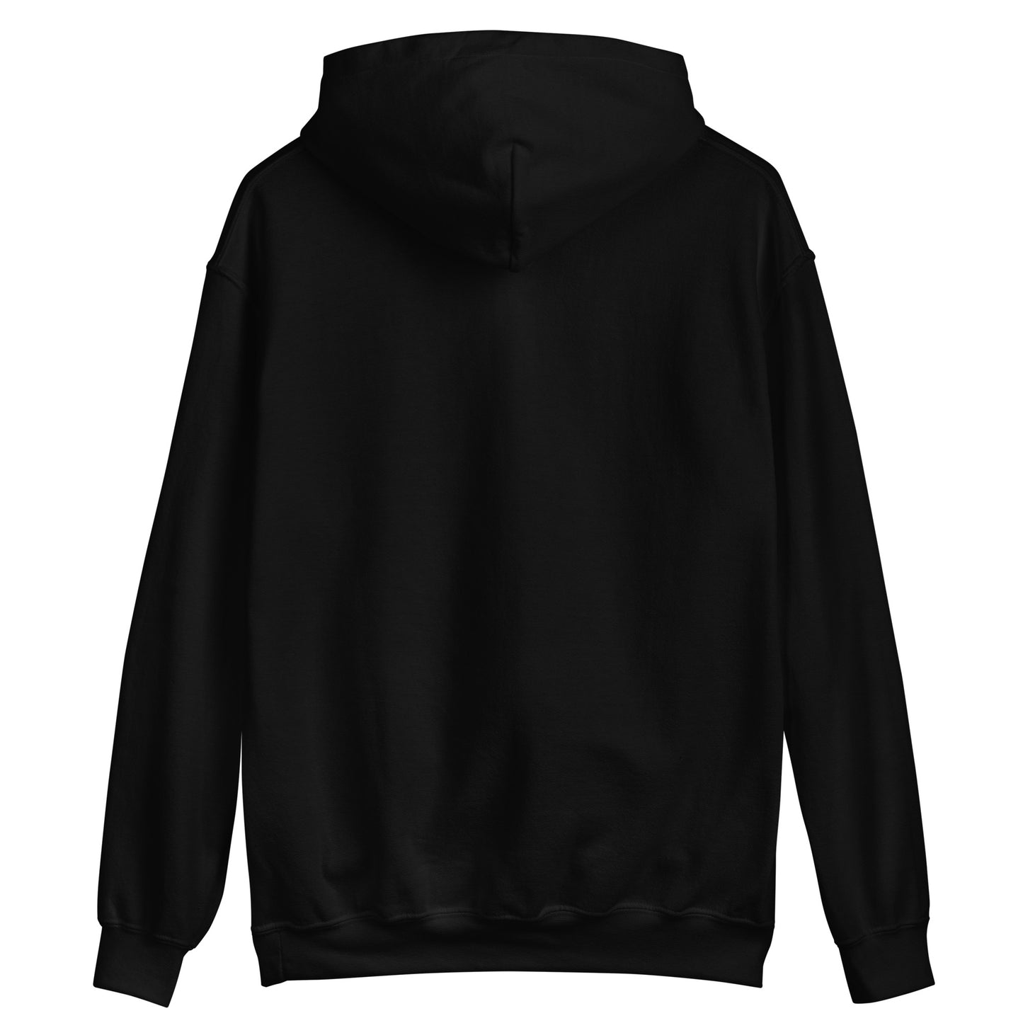 I Can Do All Things – Philippians 4:13 Embroidered Hoodie