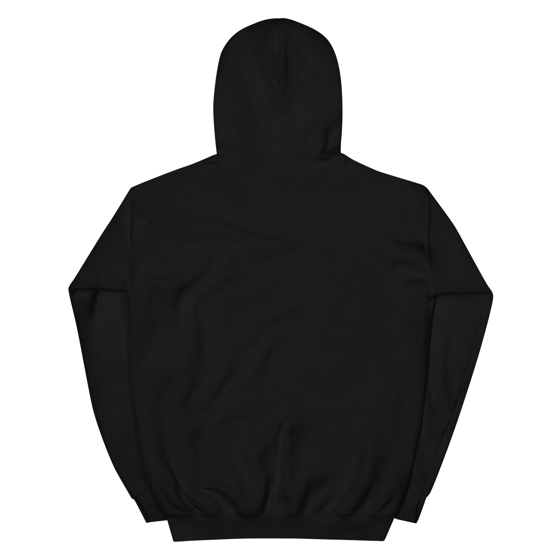 back view of hoodie plain