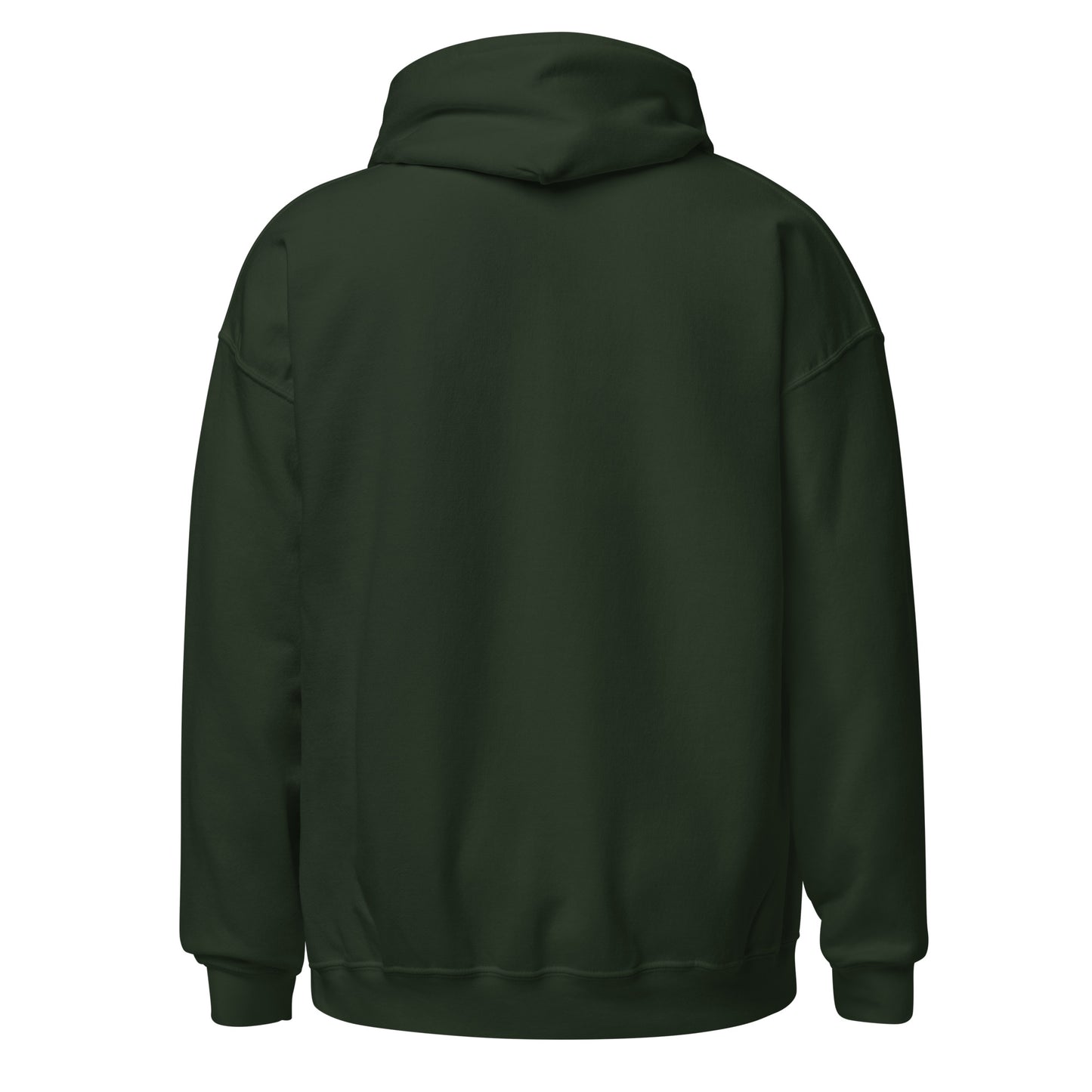 Back of forest green hoodie