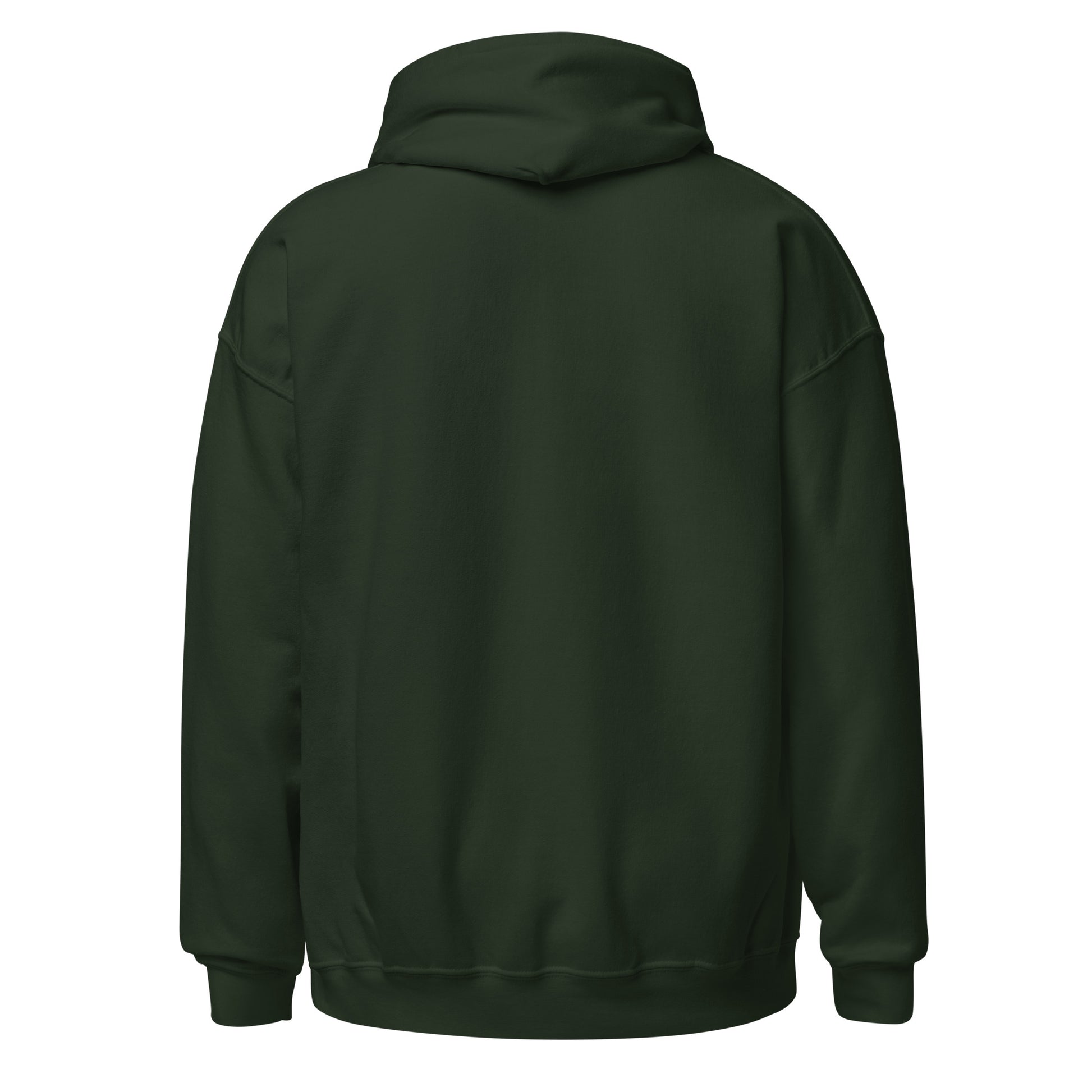 Back of forest green hoodie