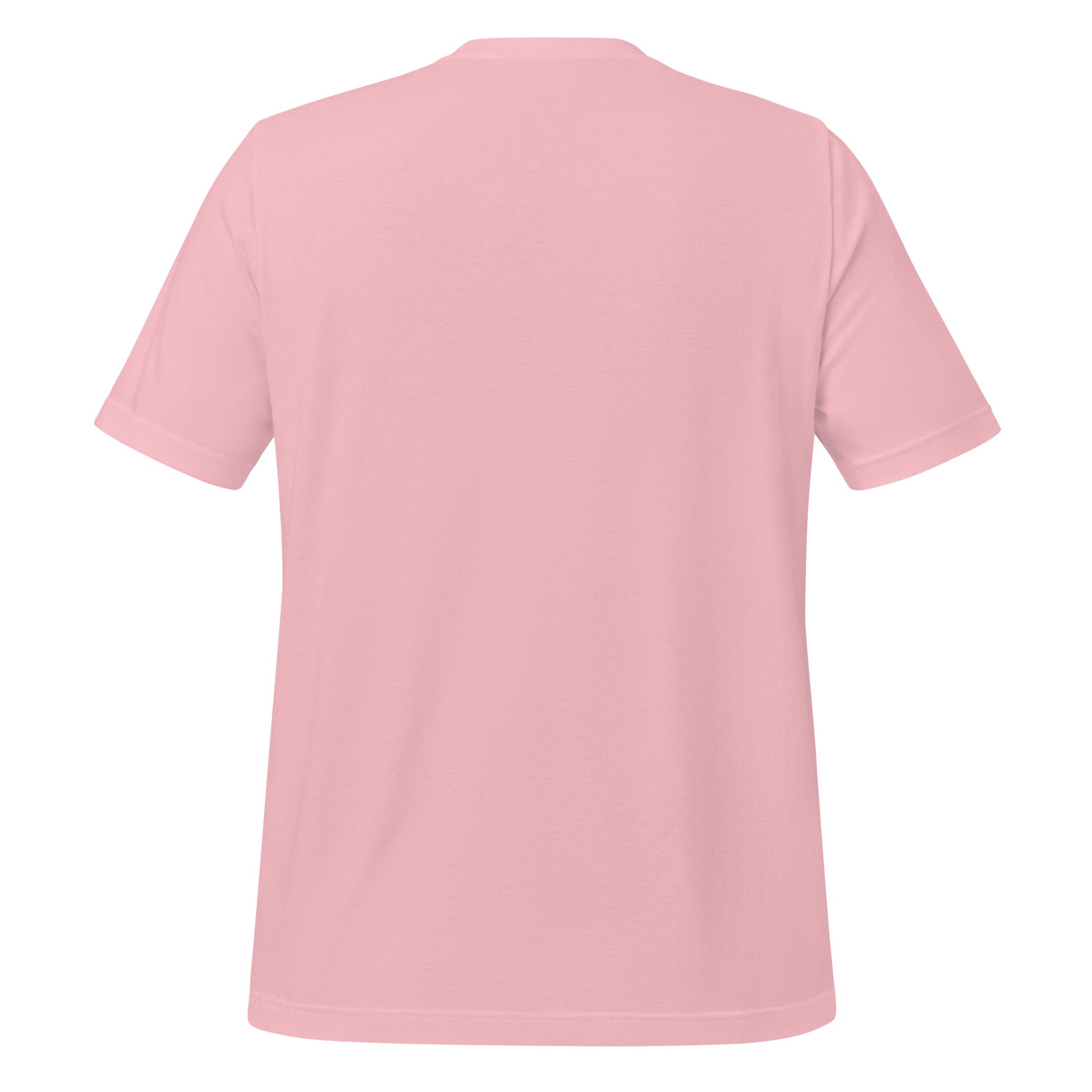 Back view of plain pink Christian t-shirt with no print, showing relaxed unisex fit
