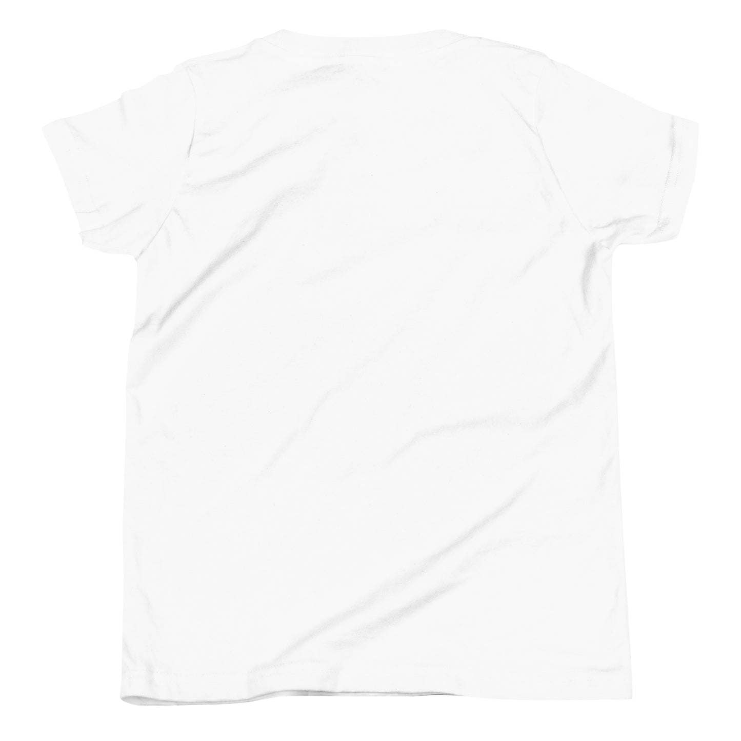 plain no image, God has a plan for me girls youth shirt