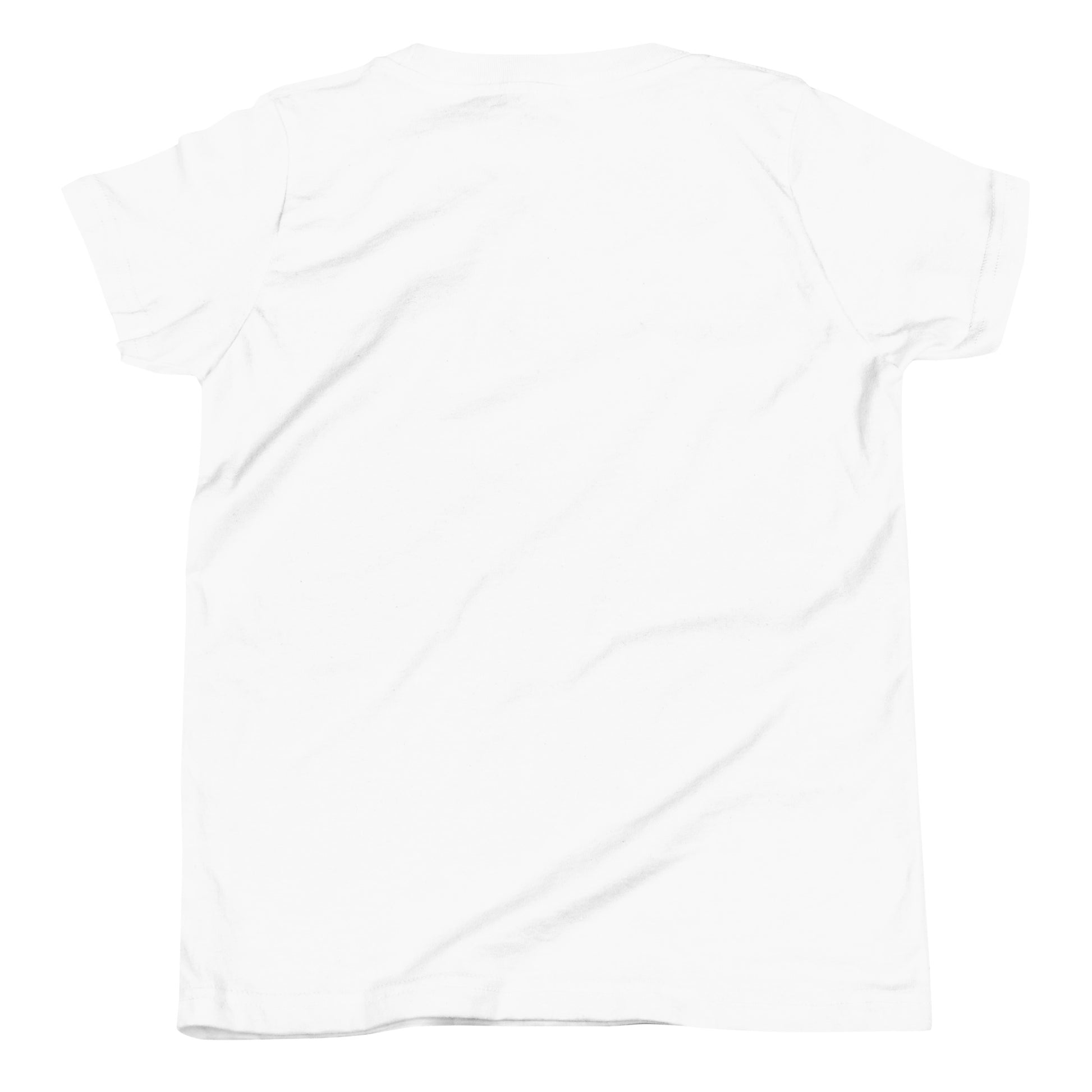 plain no image, God has a plan for me girls youth shirt